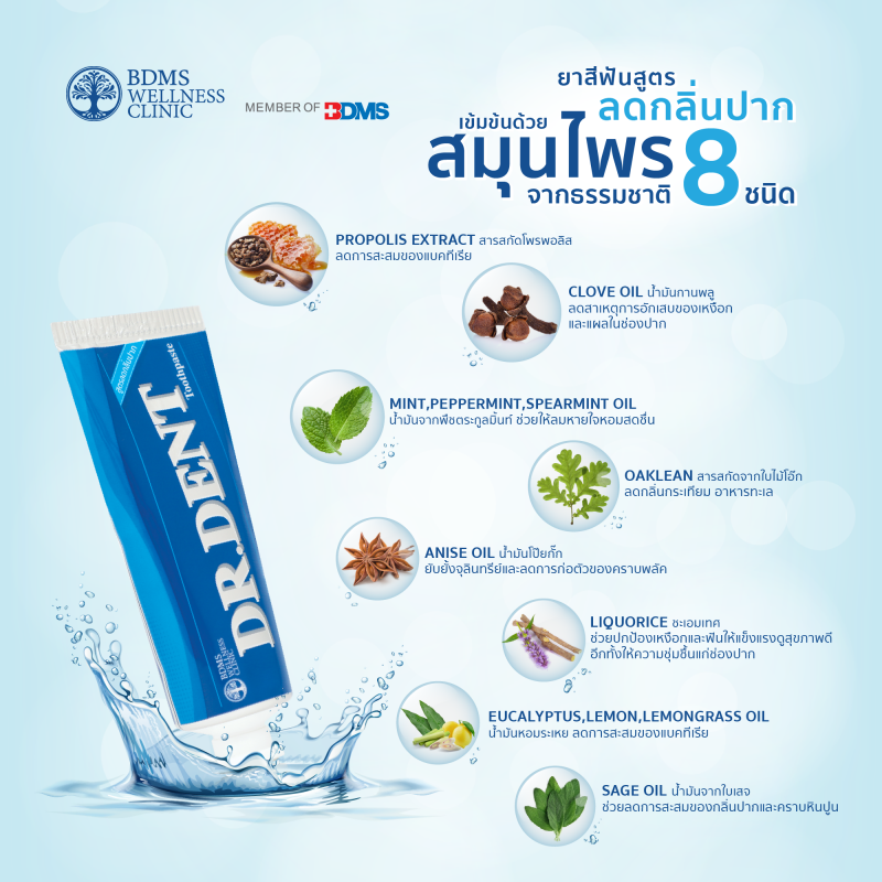 DR.DENT Toothpaste ยาสีฟัน สูตรลดกลิ่นปาก